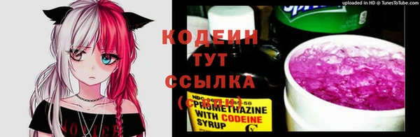 крисы Арсеньев
