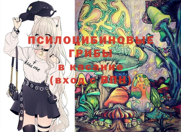 крисы Арсеньев
