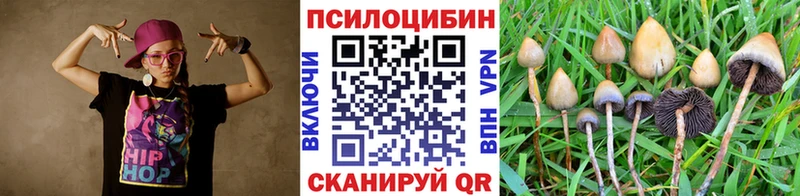Галлюциногенные грибы Psilocybine cubensis  Нязепетровск 